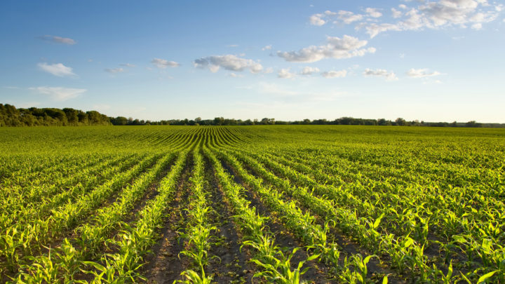 La agricultura goza de los beneficios de la alta tecnología