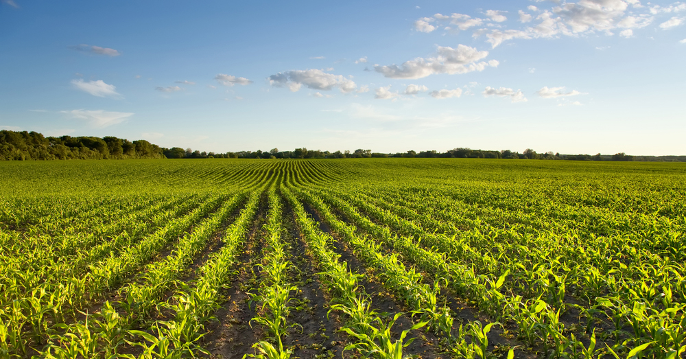 La agricultura goza de los beneficios de la alta tecnología