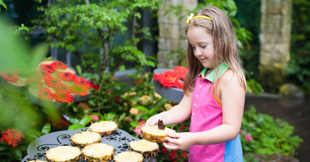 Actividades para niños en verano