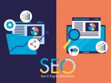 expertos en seo